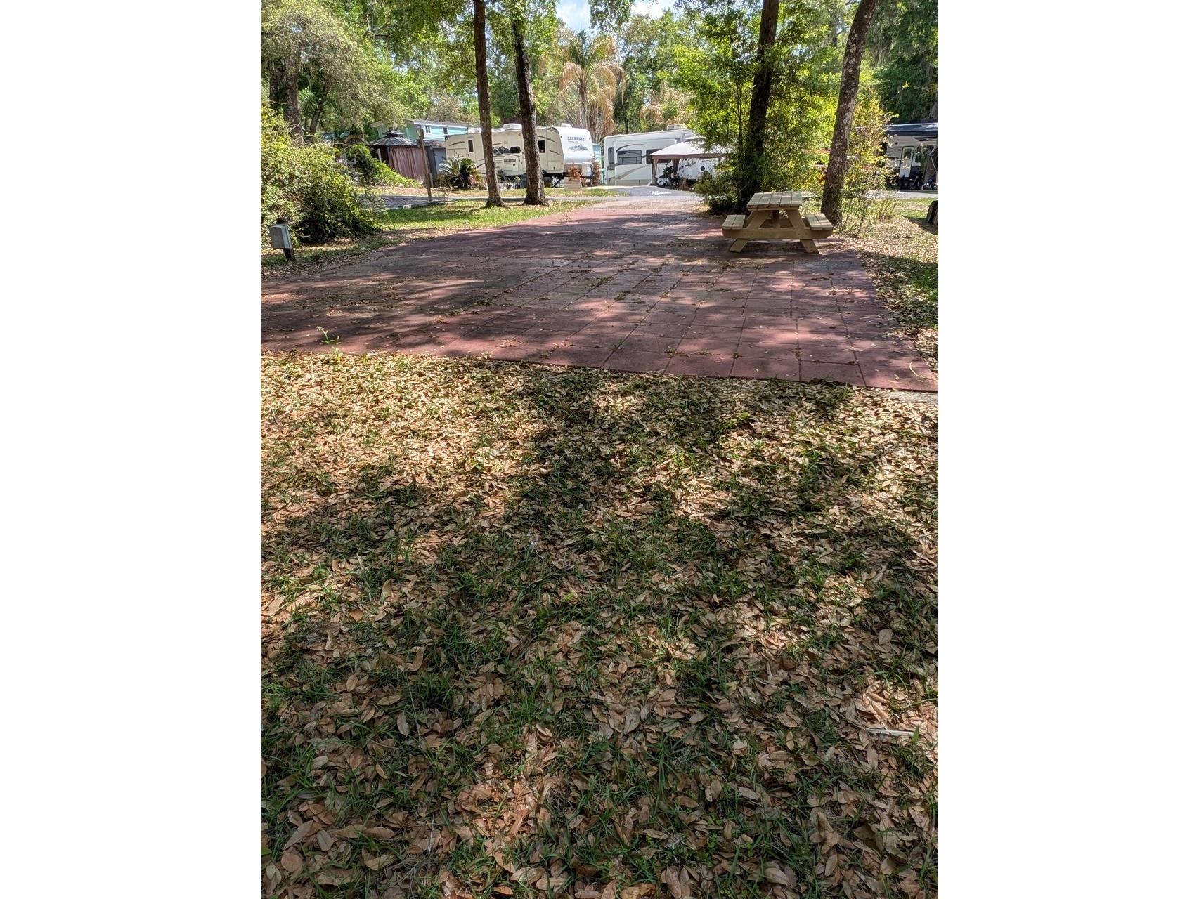25215 NE 142nd Street Salt Springs FL 32134 - LITTLE LAKE KERR OM721813 image4