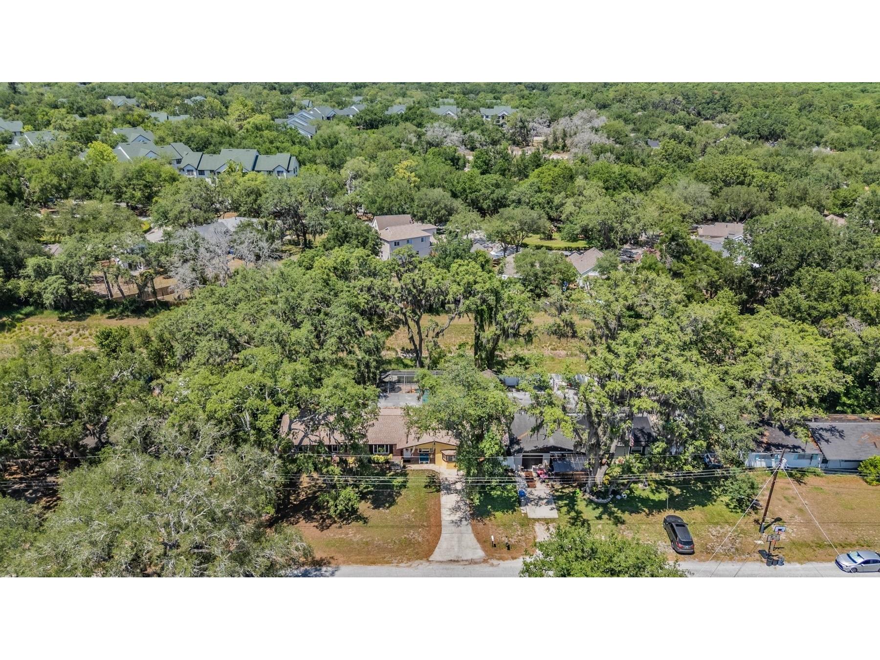 2522 E 149th Avenue Lutz FL 33559 TB8496927 image3