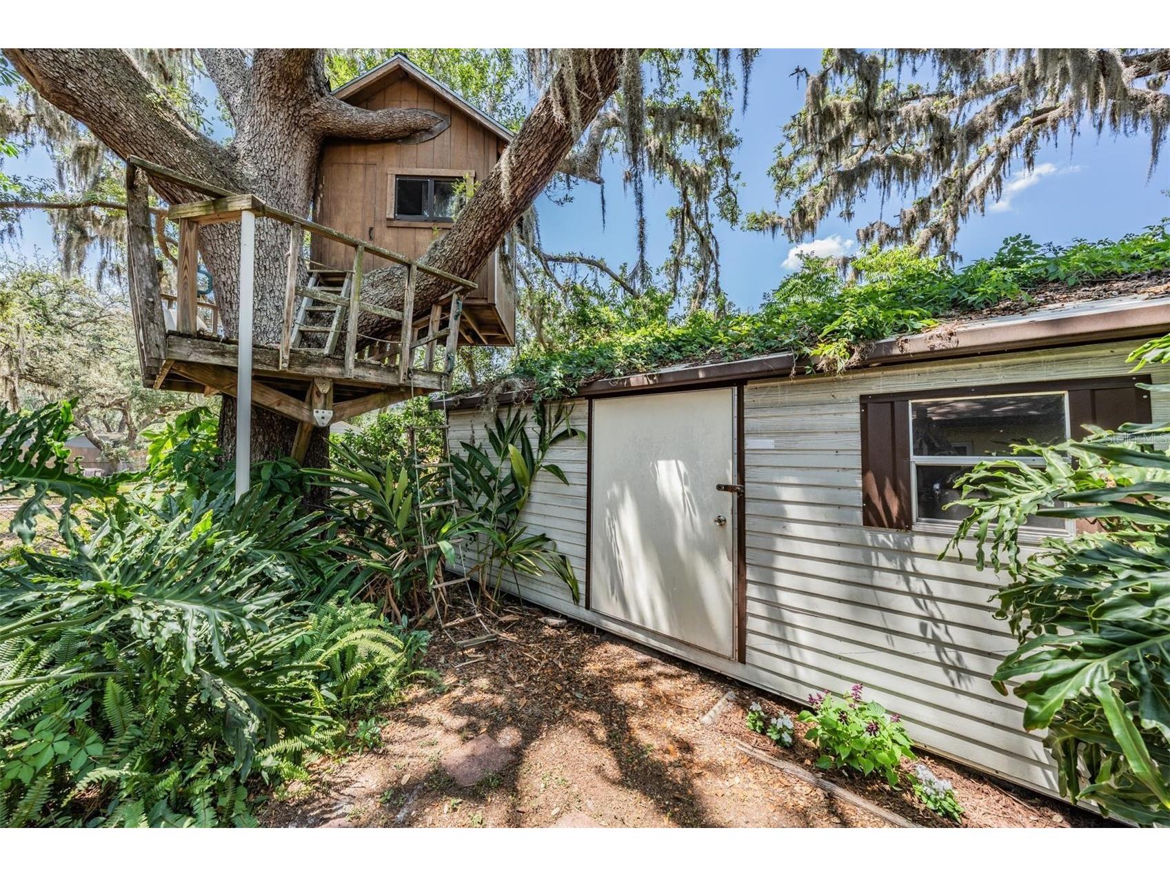 2522 E 149th Avenue Lutz FL 33559 TB8496927 image32