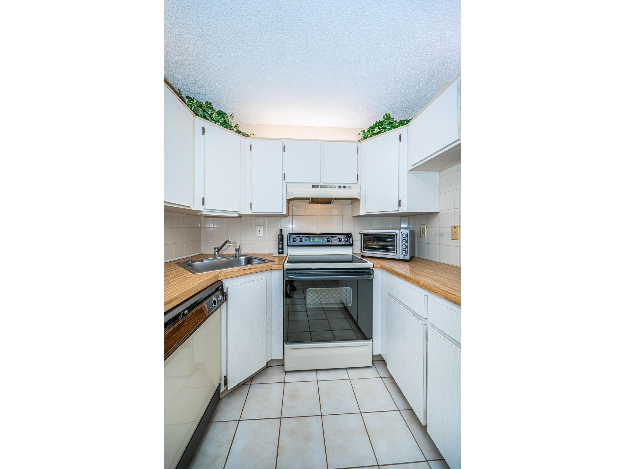 2522 Pine Ridge Way S #A2 Palm Harbor FL 34684 W7882205 image10