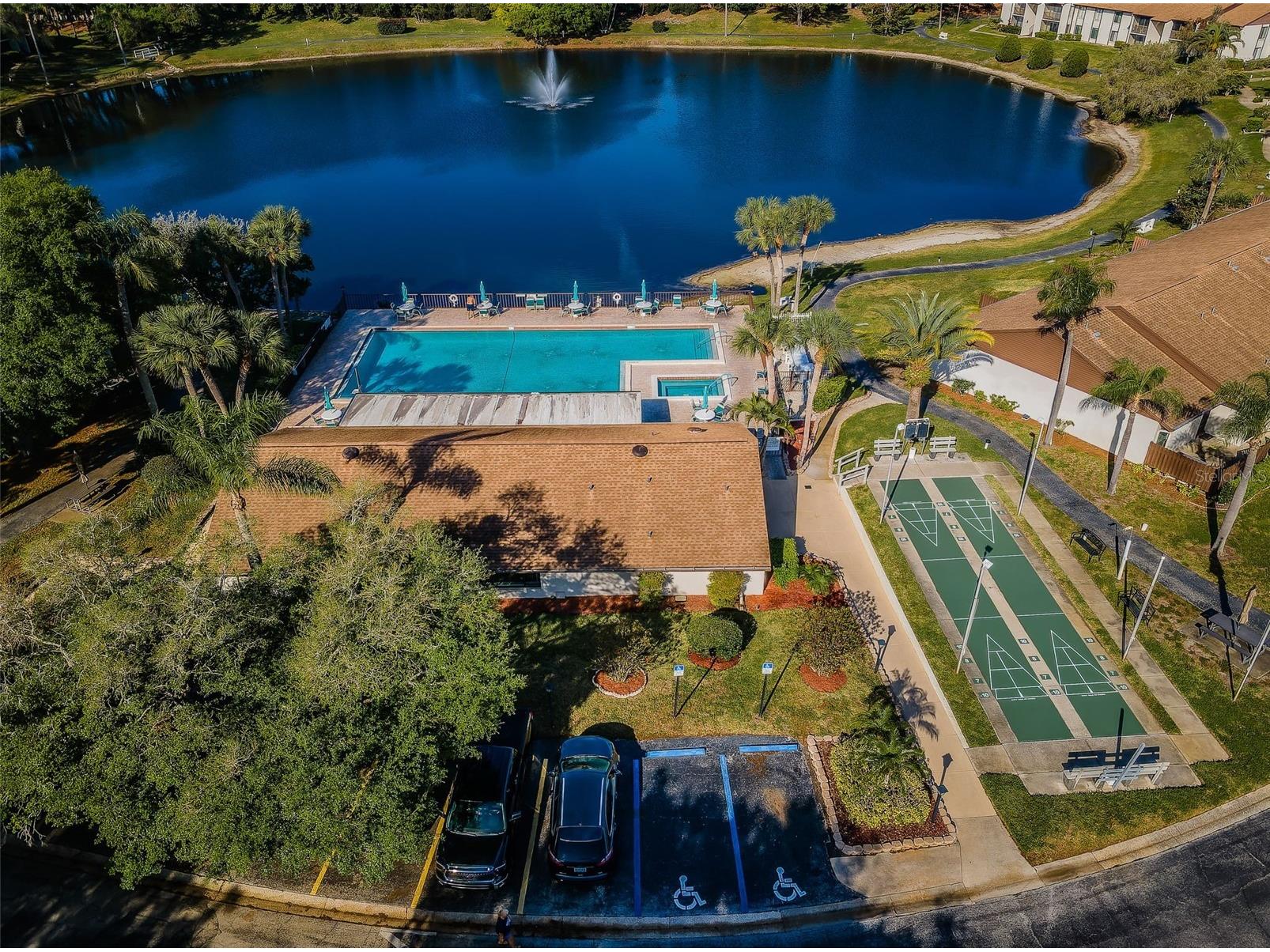 2522 Pine Ridge Way S #A2 Palm Harbor FL 34684 W7882205 image32
