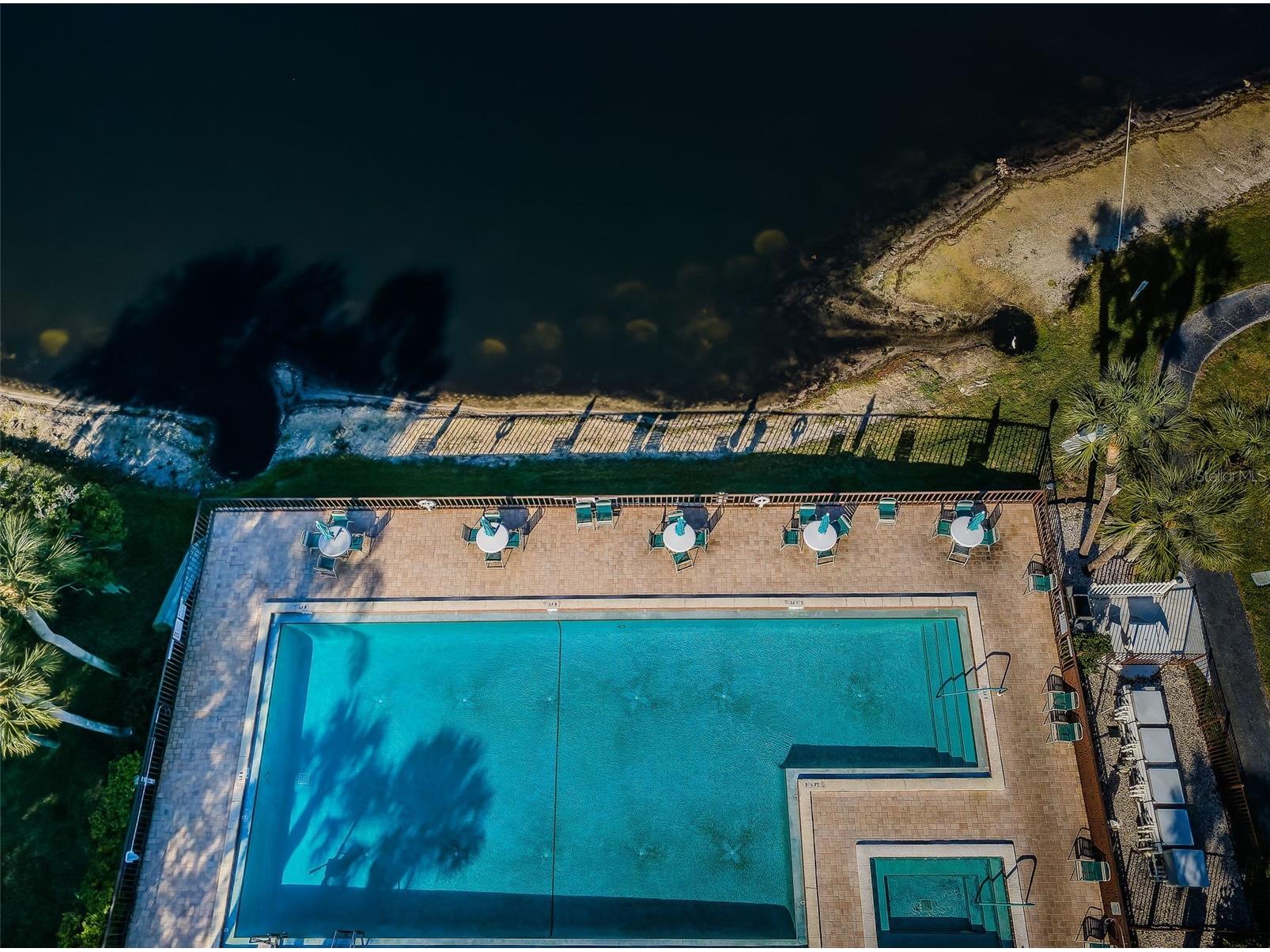 2522 Pine Ridge Way S #A2 Palm Harbor FL 34684 W7882205 image34