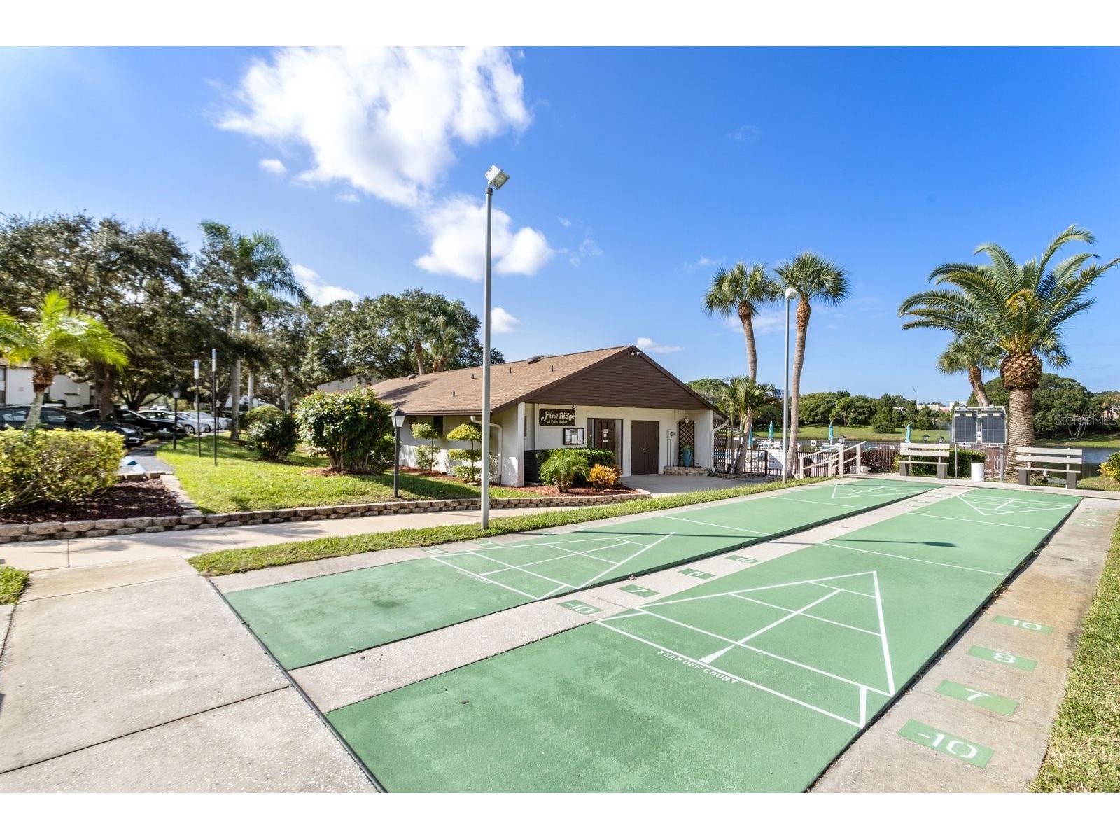 2522 Pine Ridge Way S #D2 Palm Harbor FL 34684 TB8473477 image21