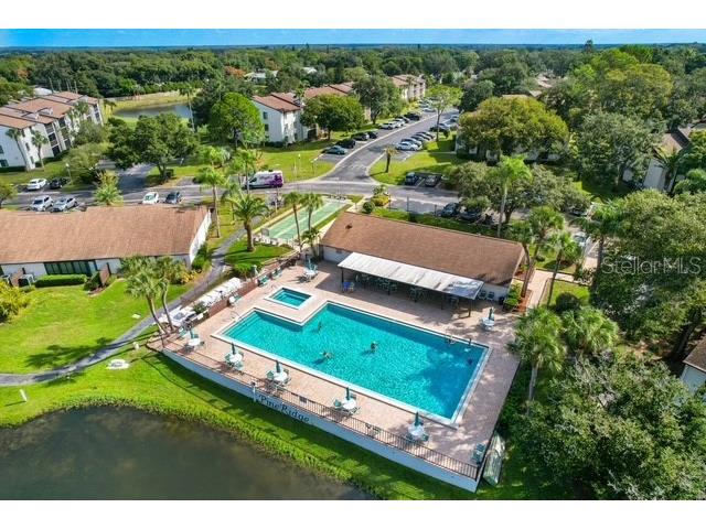 2522 Pine Ridge Way S #D2 Palm Harbor FL 34684 TB8473477 image24