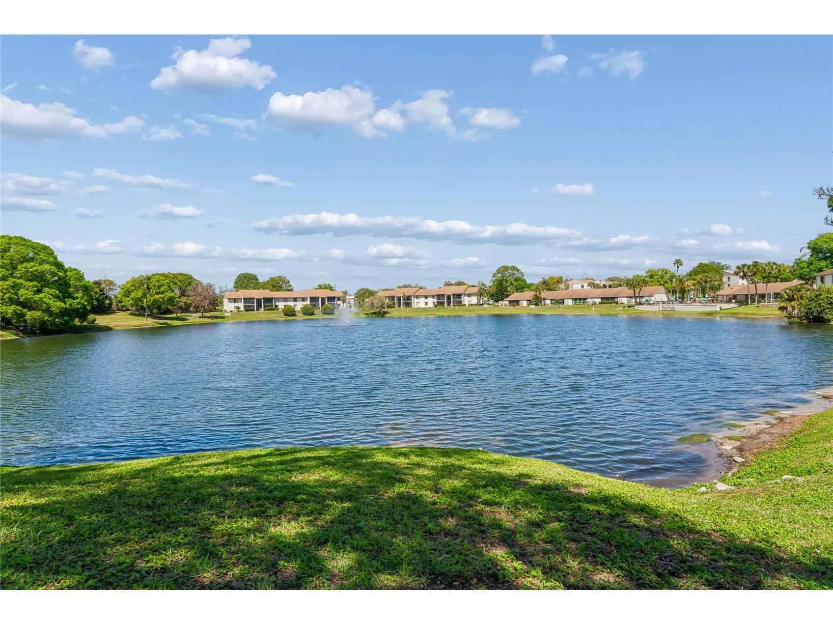 2522 Pine Ridge Way S #D2 Palm Harbor FL 34684 TB8473477 image31