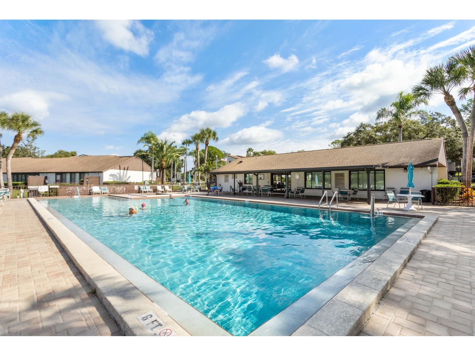 2522 Pine Ridge Way S #D2 Palm Harbor FL 34684 TB8473477 image33