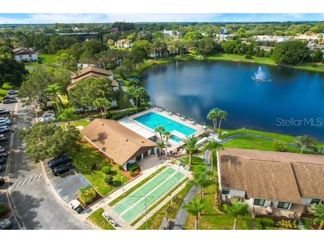 2522 Pine Ridge Way S #D2 Palm Harbor FL 34684 TB8473477 image36