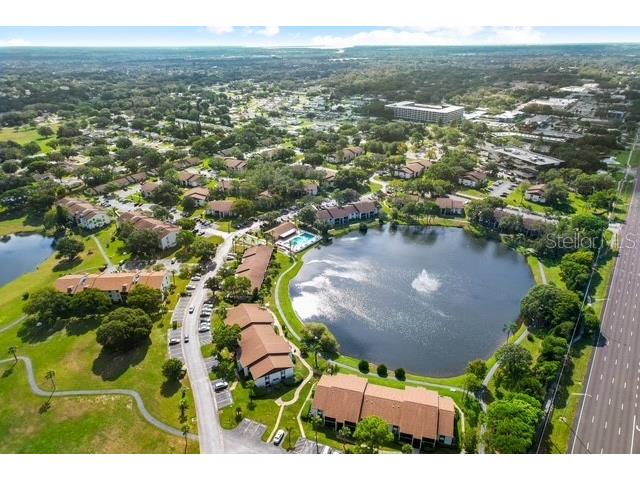 2522 Pine Ridge Way S #D2 Palm Harbor FL 34684 TB8473477 image38