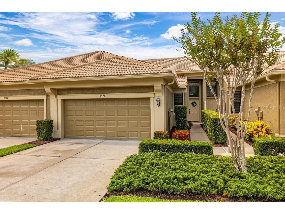 2522 Silverback Court Palm Harbor FL 34684 U8204919 image1