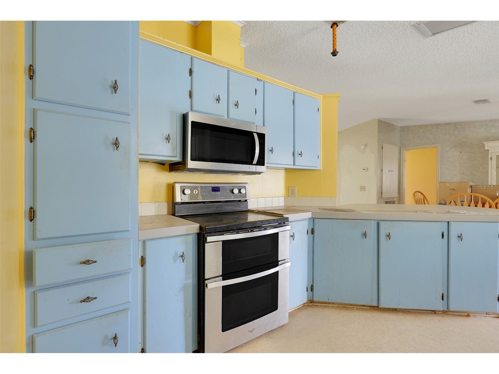 25224 Wild Heron Leesburg FL 34748 G5113289 image8