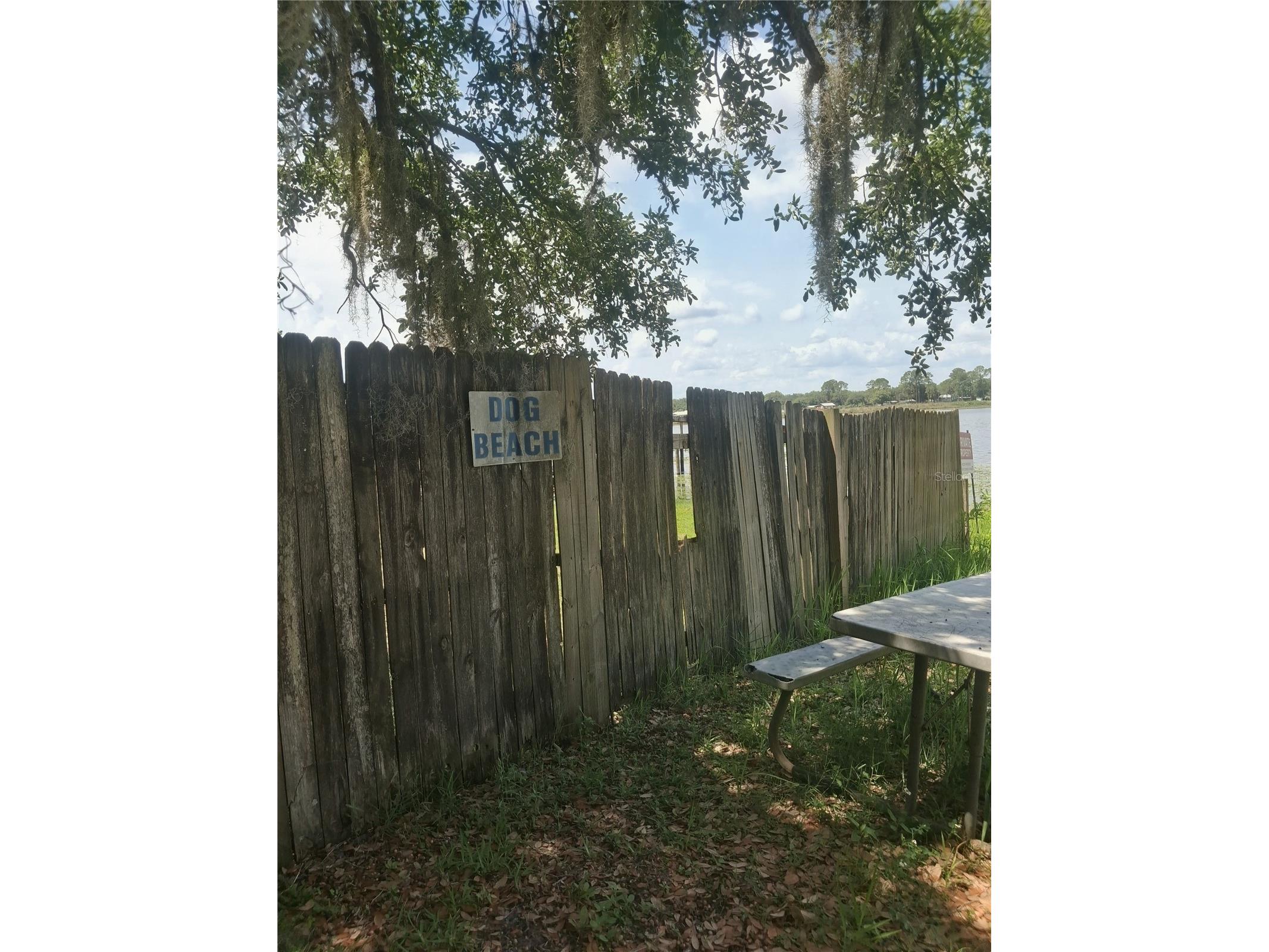 25225 141st Lane NE Fort Mc Coy FL 32134 O6411082 image14