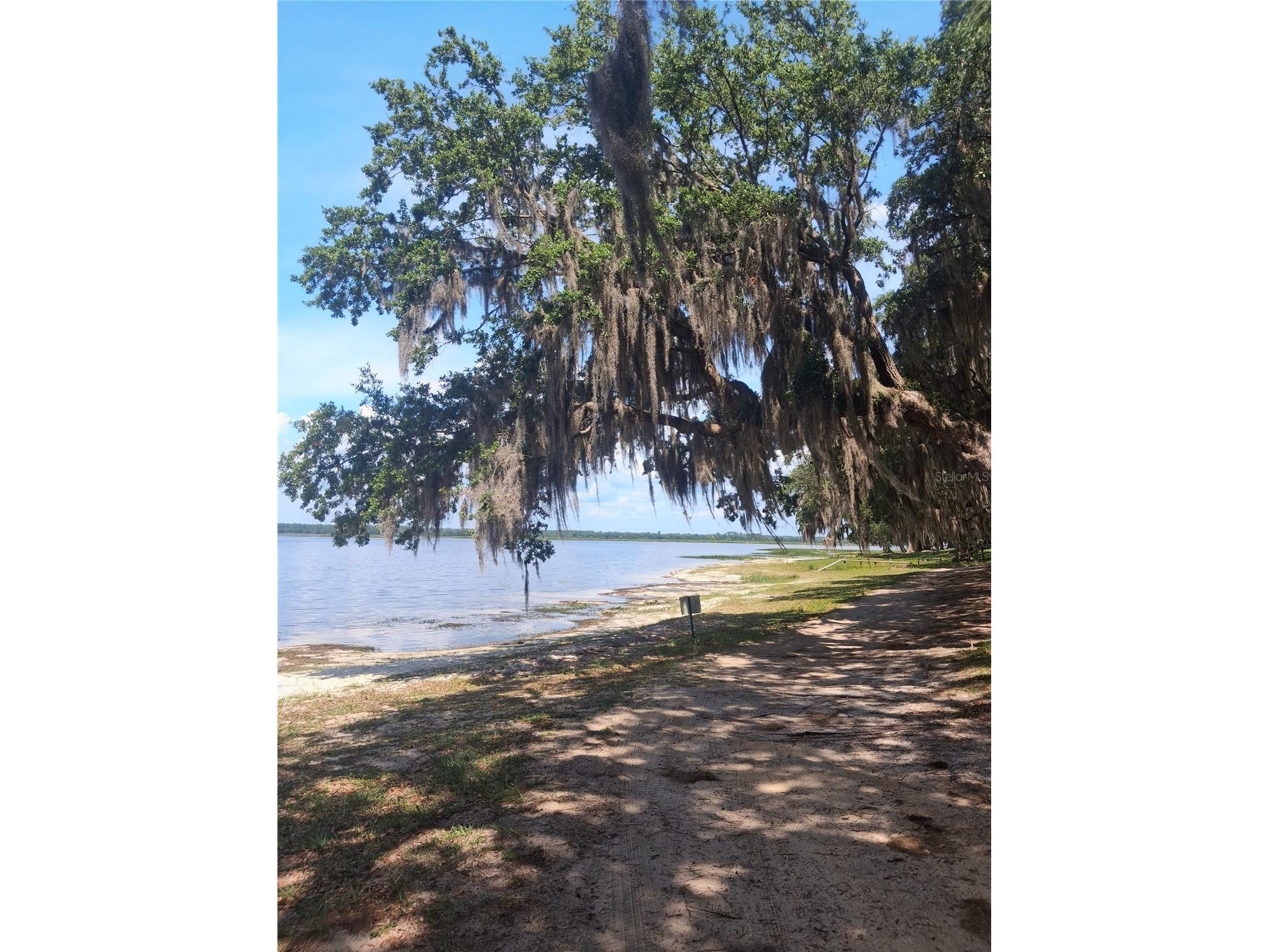 25225 141st Lane NE Fort Mc Coy FL 32134 O6411082 image15