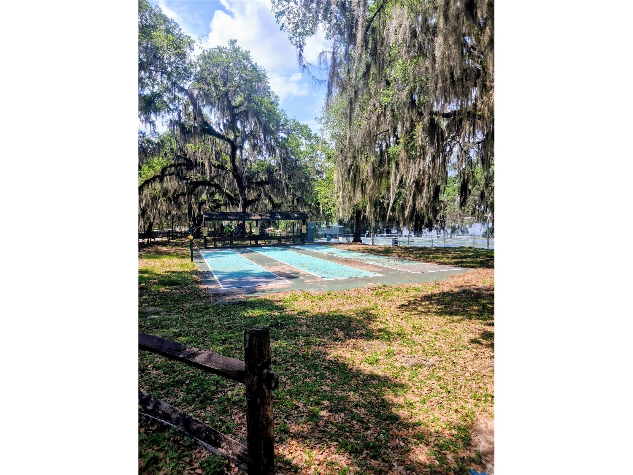 25225 141st Lane NE Fort Mc Coy FL 32134 O6411082 image20