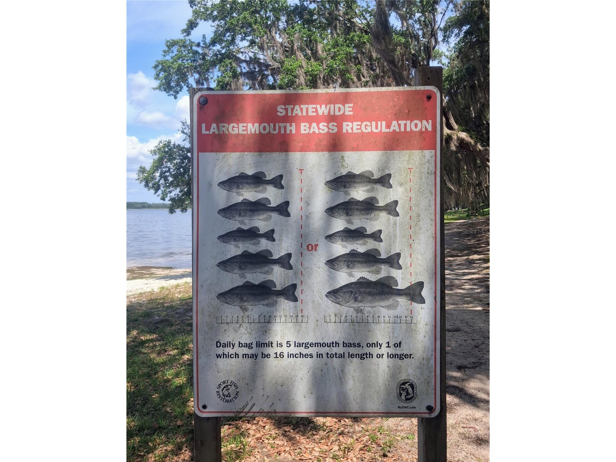 25225 141st Lane NE Fort Mc Coy FL 32134 O6411082 image21