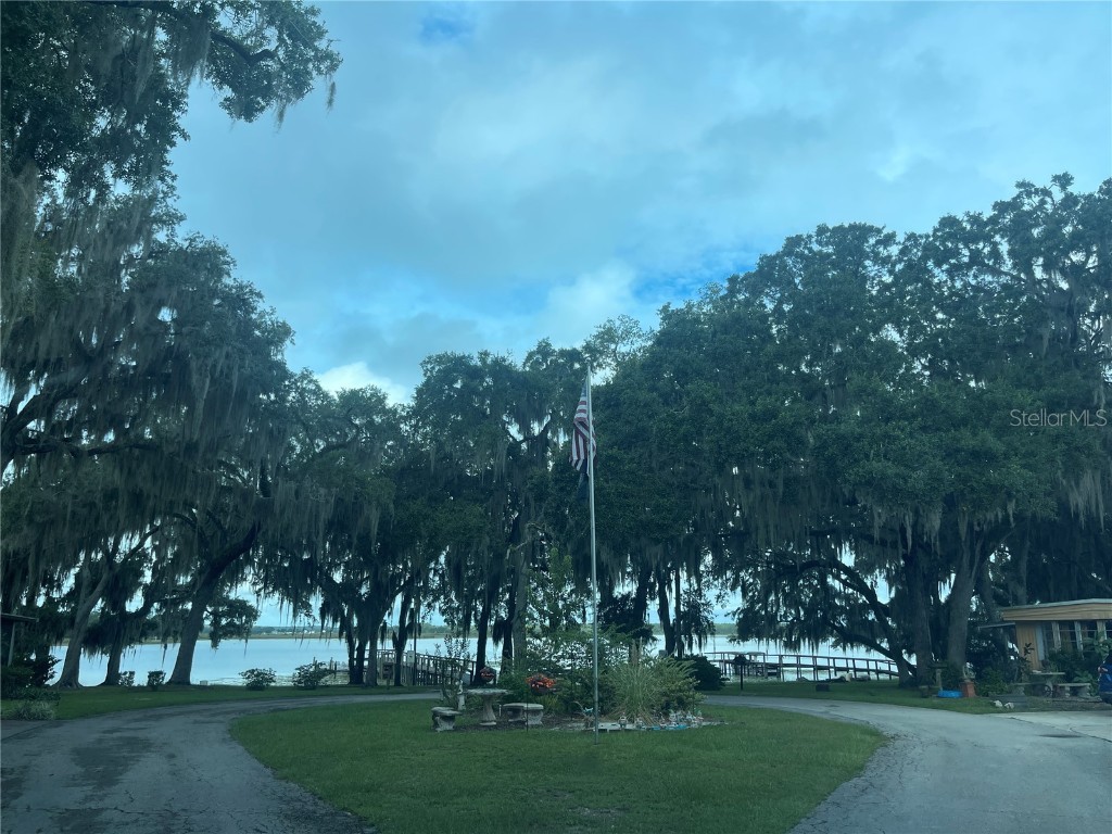 25225 NE 139th St Salt Springs FL 32134 OM713403 image1