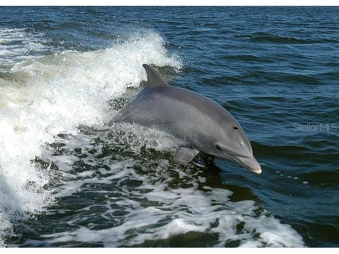 25225 Rampart Boulevard #1602 Punta Gorda FL 33983 C7517661 image54