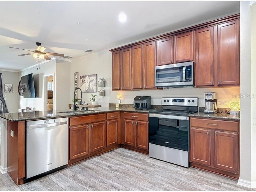 25227 Chipshot Court Sorrento FL 32776 FC314145 image23