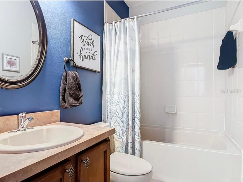 25227 Chipshot Court Sorrento FL 32776 FC314145 image48