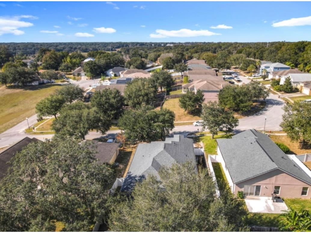 25227 Chipshot Court Sorrento FL 32776 FC314145 image65