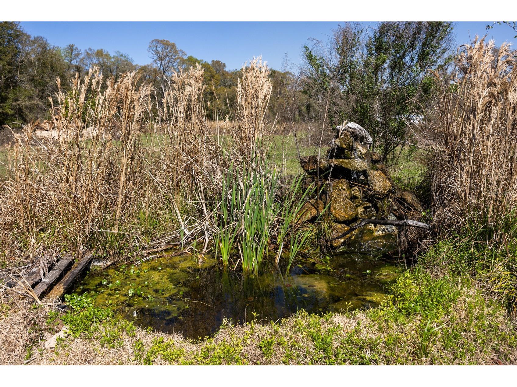 25228 NW 158th Avenue High Springs FL 32643 GC538047 image43