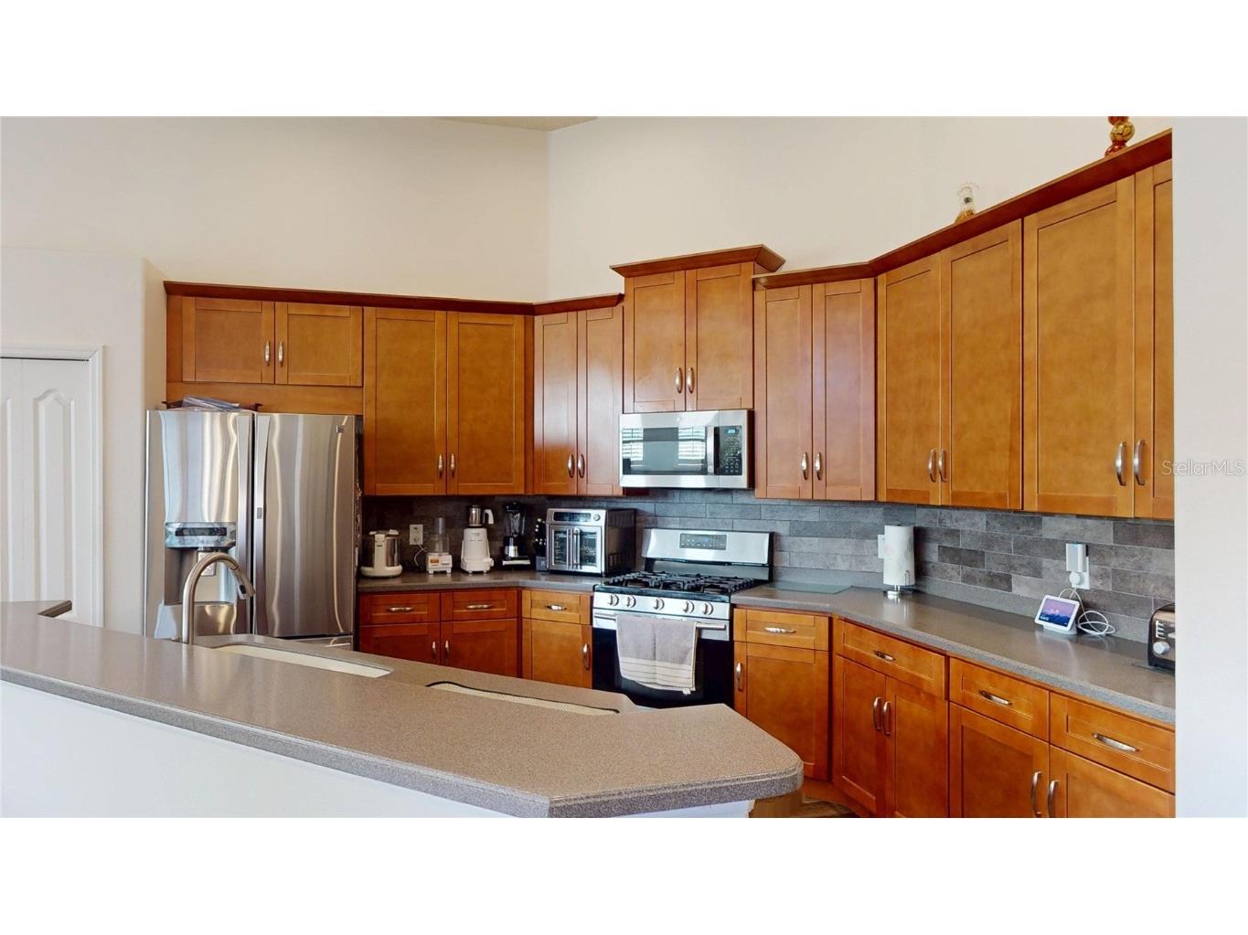 2523 Bonterra Boulevard Valrico FL 33594 TB8447250 image19