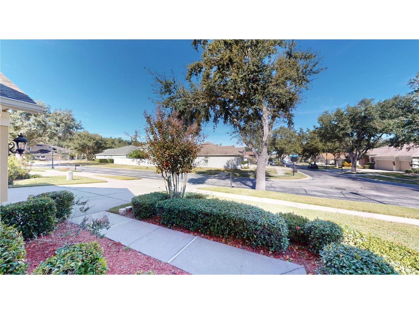 2523 Bonterra Boulevard Valrico FL 33594 TB8447250 image2