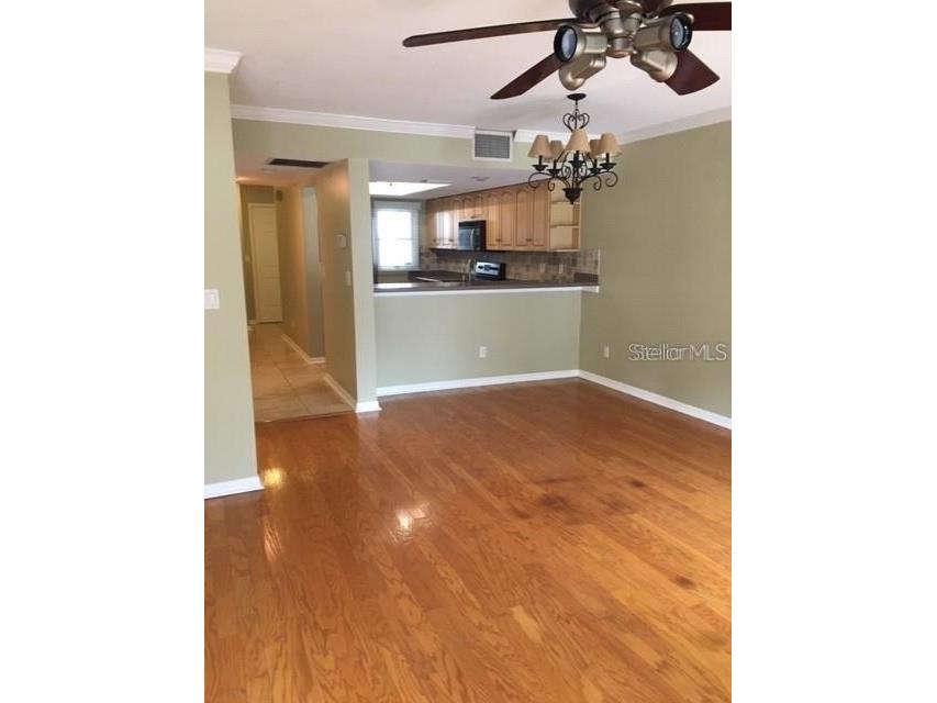 2523 Crowder Lane Tampa FL 33629 TB8497110 image3