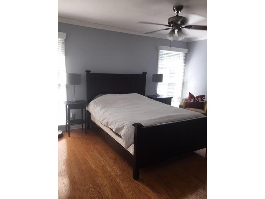 2523 Crowder Lane Tampa FL 33629 TB8497110 image6
