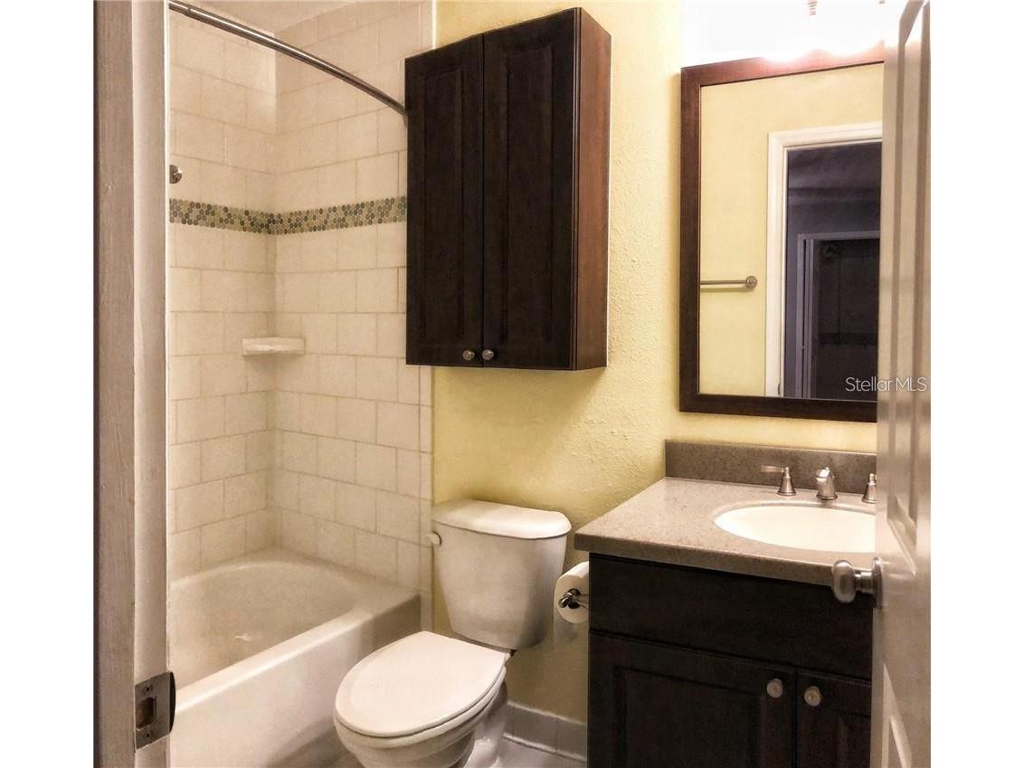 2523 Crowder Lane Tampa FL 33629 TB8497110 image7