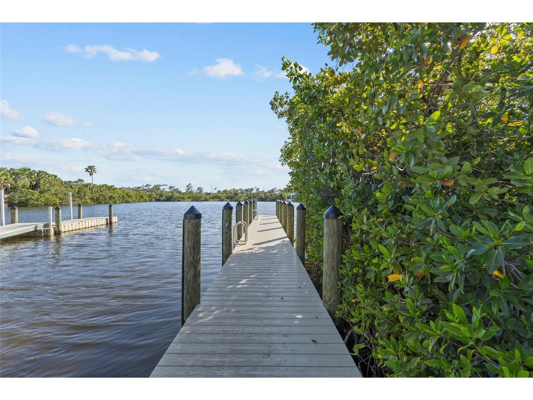 2523 Dixon Terrace Port Charlotte FL 33981 - MYAKKA RIVER C7523565 image25
