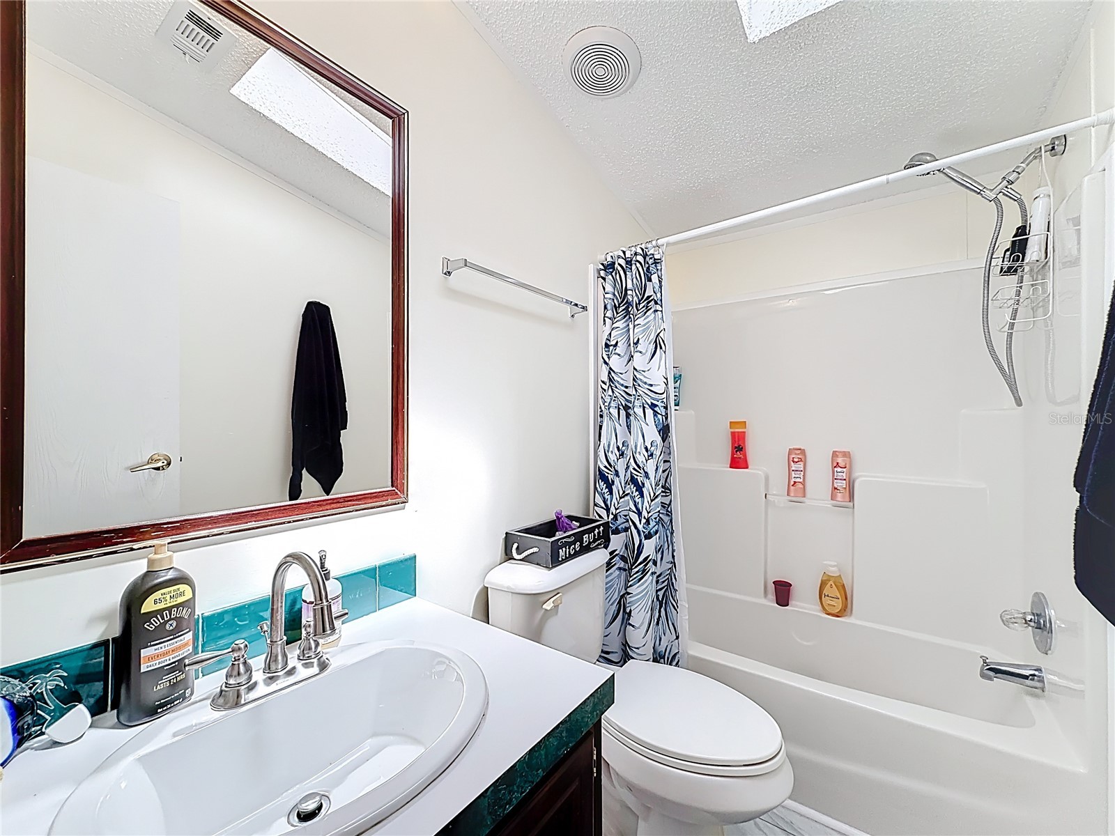 2523 Karen Drive Mount Dora FL 32757 G5110231 image19