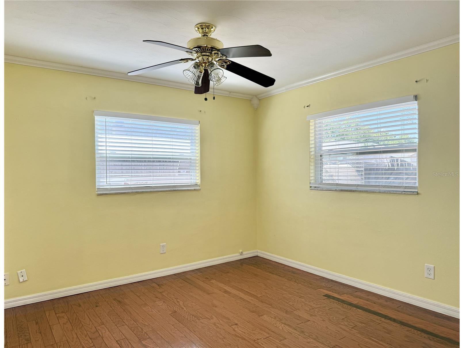 2523 Krueger Ln Tampa FL 33618 TB8509338 image23