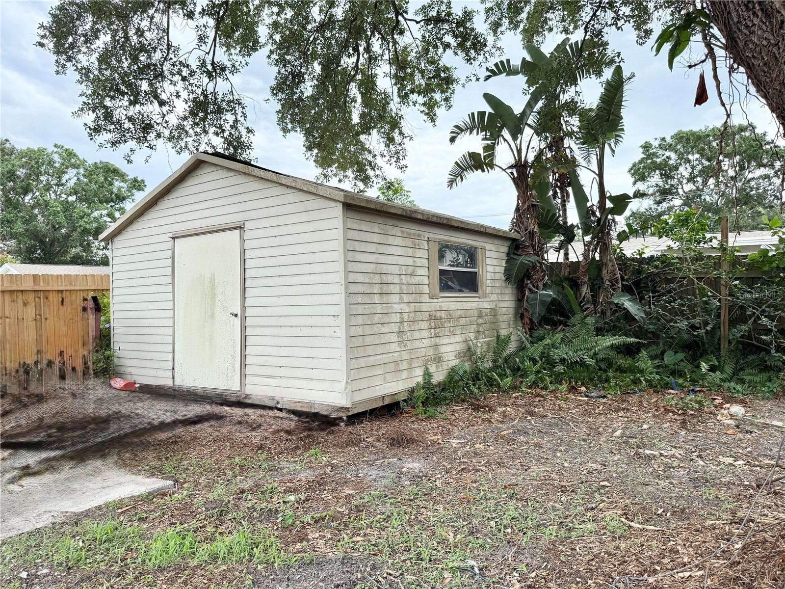 2523 Krueger Ln Tampa FL 33618 TB8509338 image45
