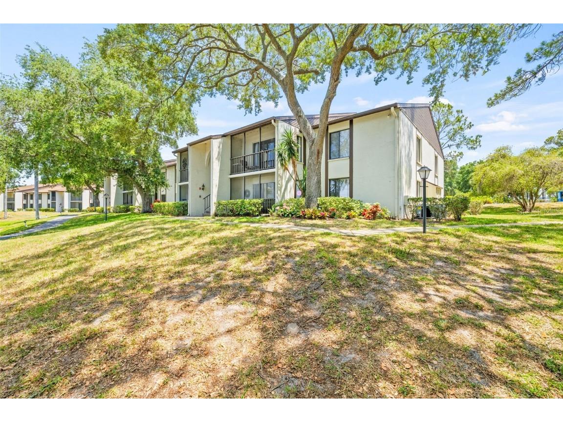 2523 Pine Ridge Way S #C2 Palm Harbor FL 34684 N6133136 image1