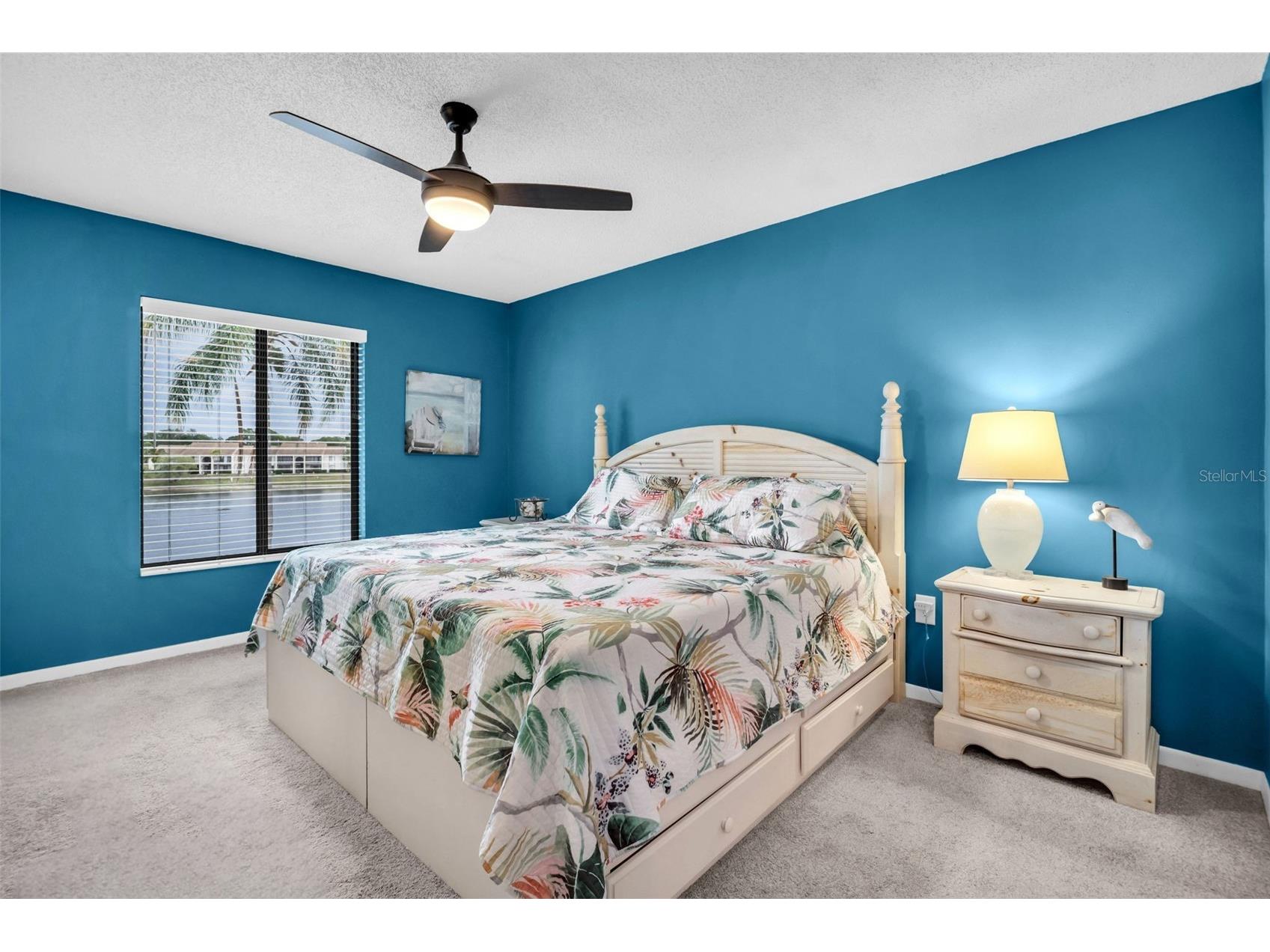 2523 Pine Ridge Way S #C2 Palm Harbor FL 34684 TB8508632 image16