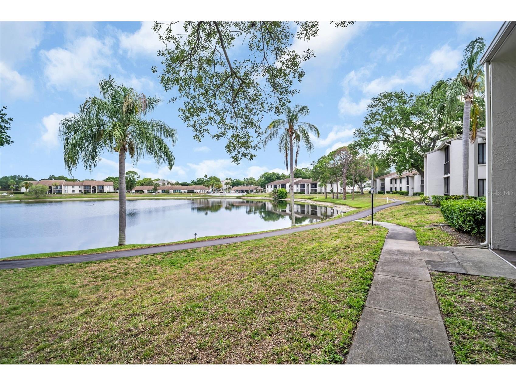 2523 Pine Ridge Way S #C2 Palm Harbor FL 34684 TB8508632 image2