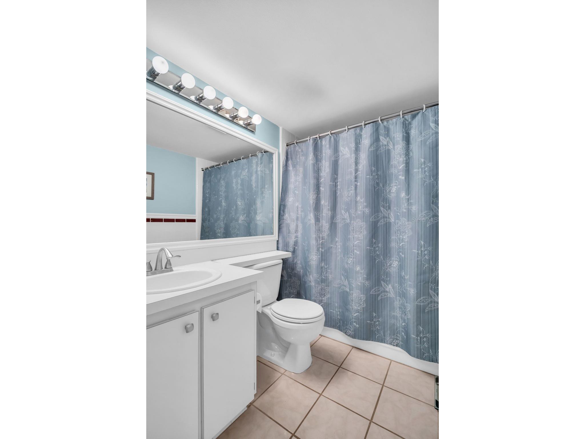 2523 Pine Ridge Way S #C2 Palm Harbor FL 34684 TB8508632 image24