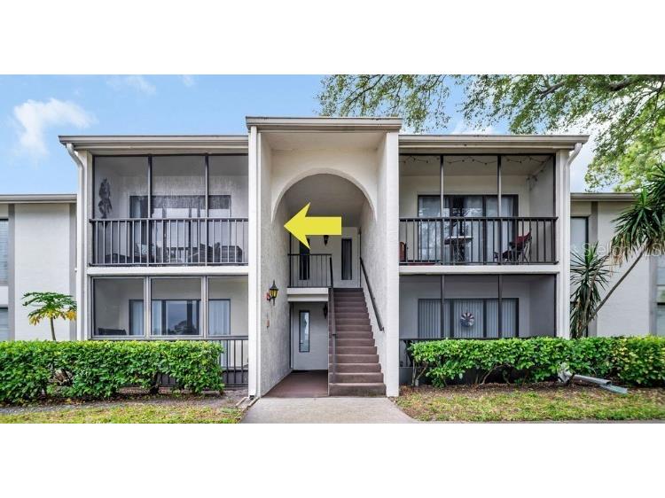 2523 Pine Ridge Way S #C2 Palm Harbor FL 34684 TB8508632 image25
