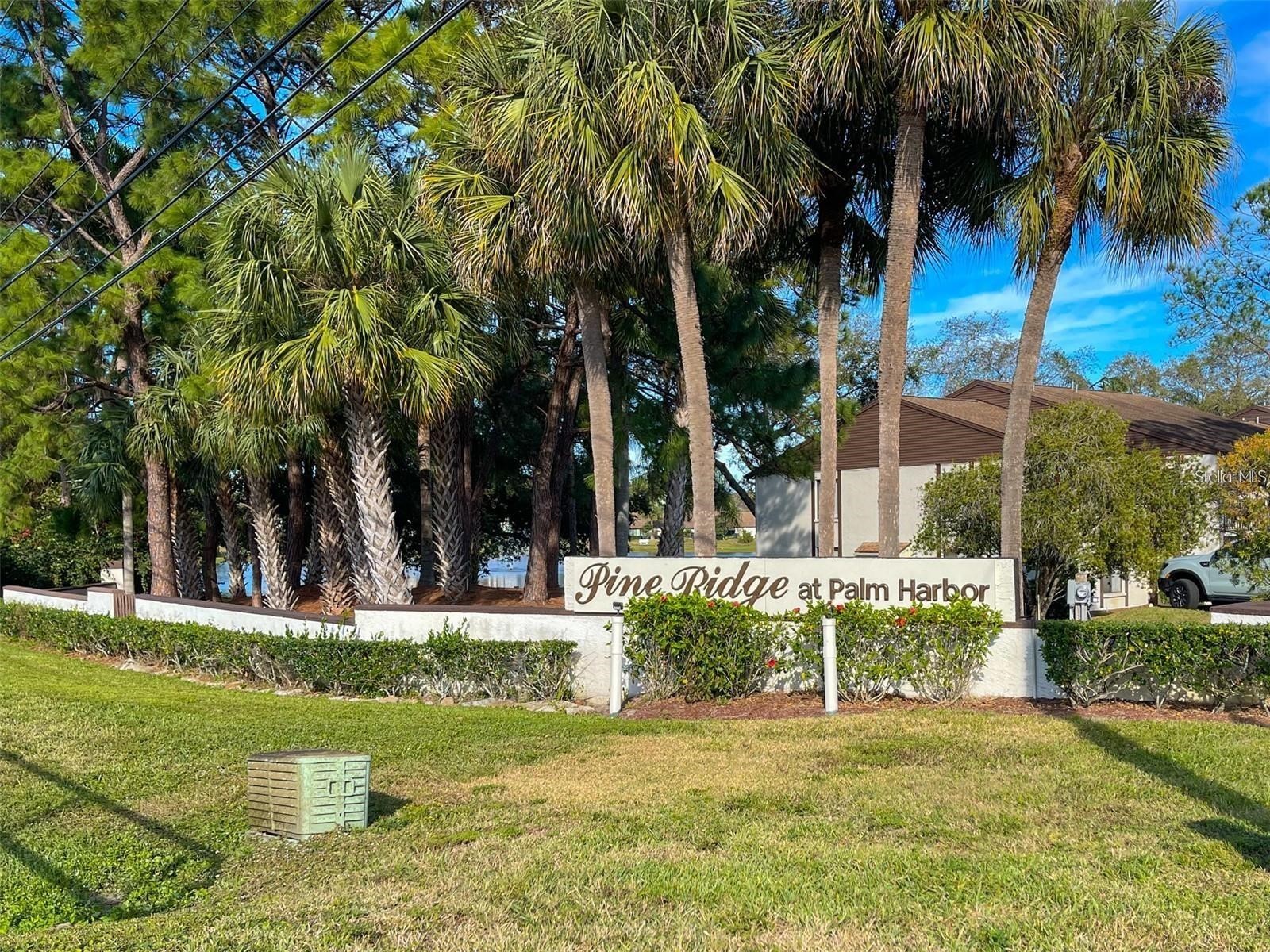 2523 Pine Ridge Way S #C2 Palm Harbor FL 34684 TB8508632 image26