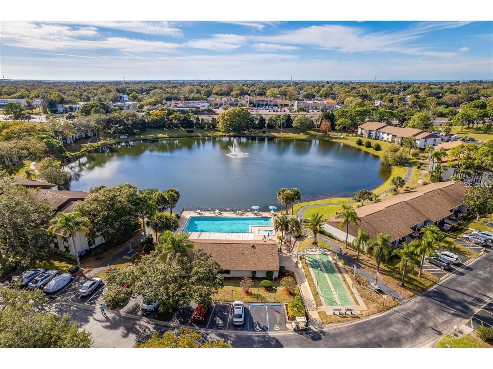 2523 Pine Ridge Way S #C2 Palm Harbor FL 34684 TB8508632 image27