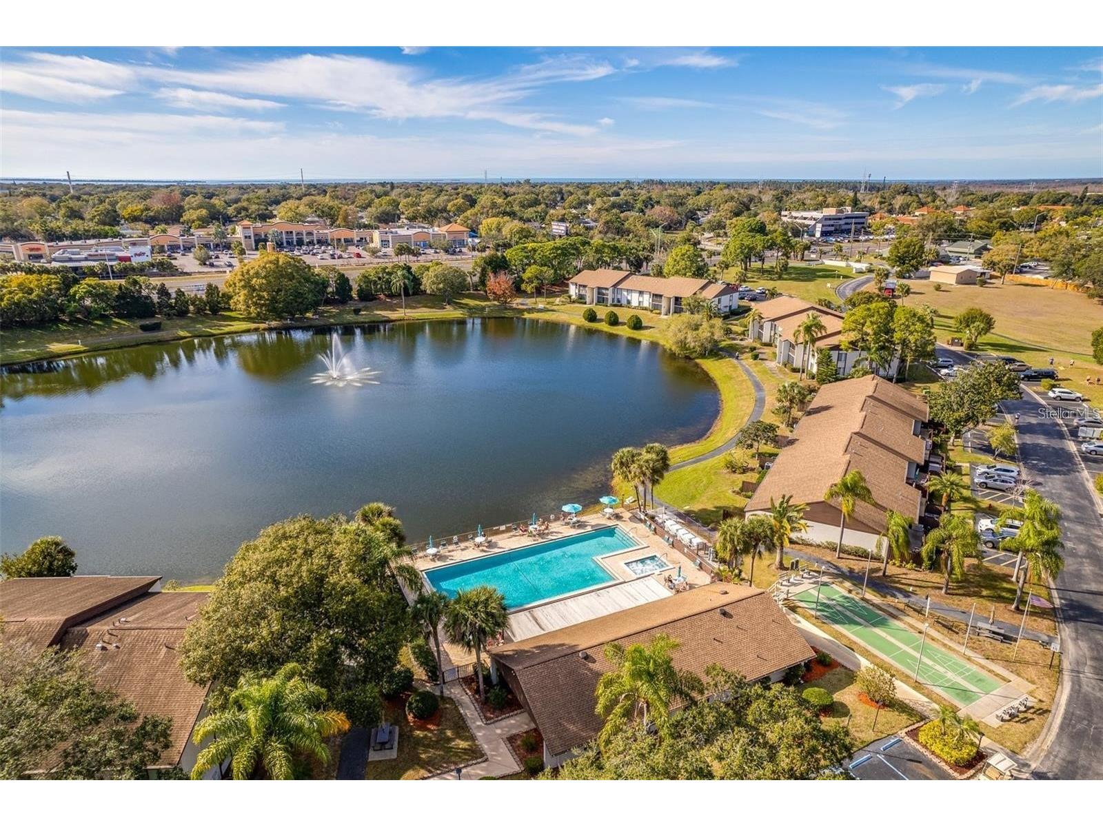 2523 Pine Ridge Way S #C2 Palm Harbor FL 34684 TB8508632 image28