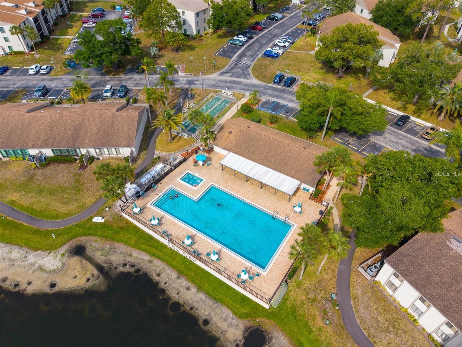 2523 Pine Ridge Way S #C2 Palm Harbor FL 34684 TB8508632 image29