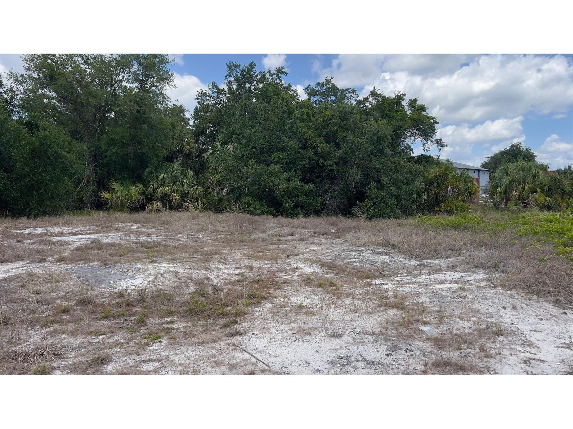 2523 Sulstone Drive Punta Gorda FL 33983 D6147393 image1