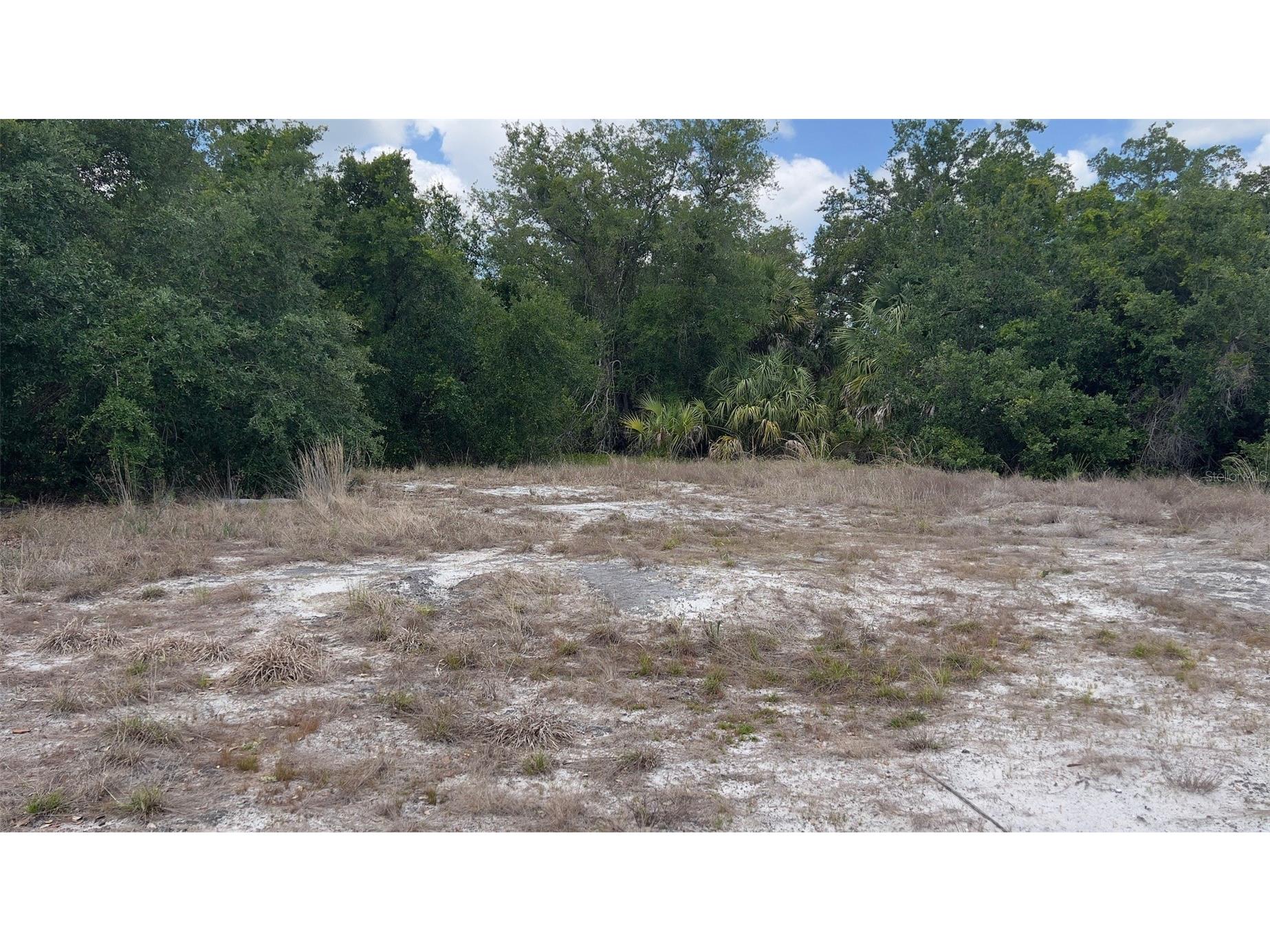 2523 Sulstone Drive Punta Gorda FL 33983 D6147393 image2