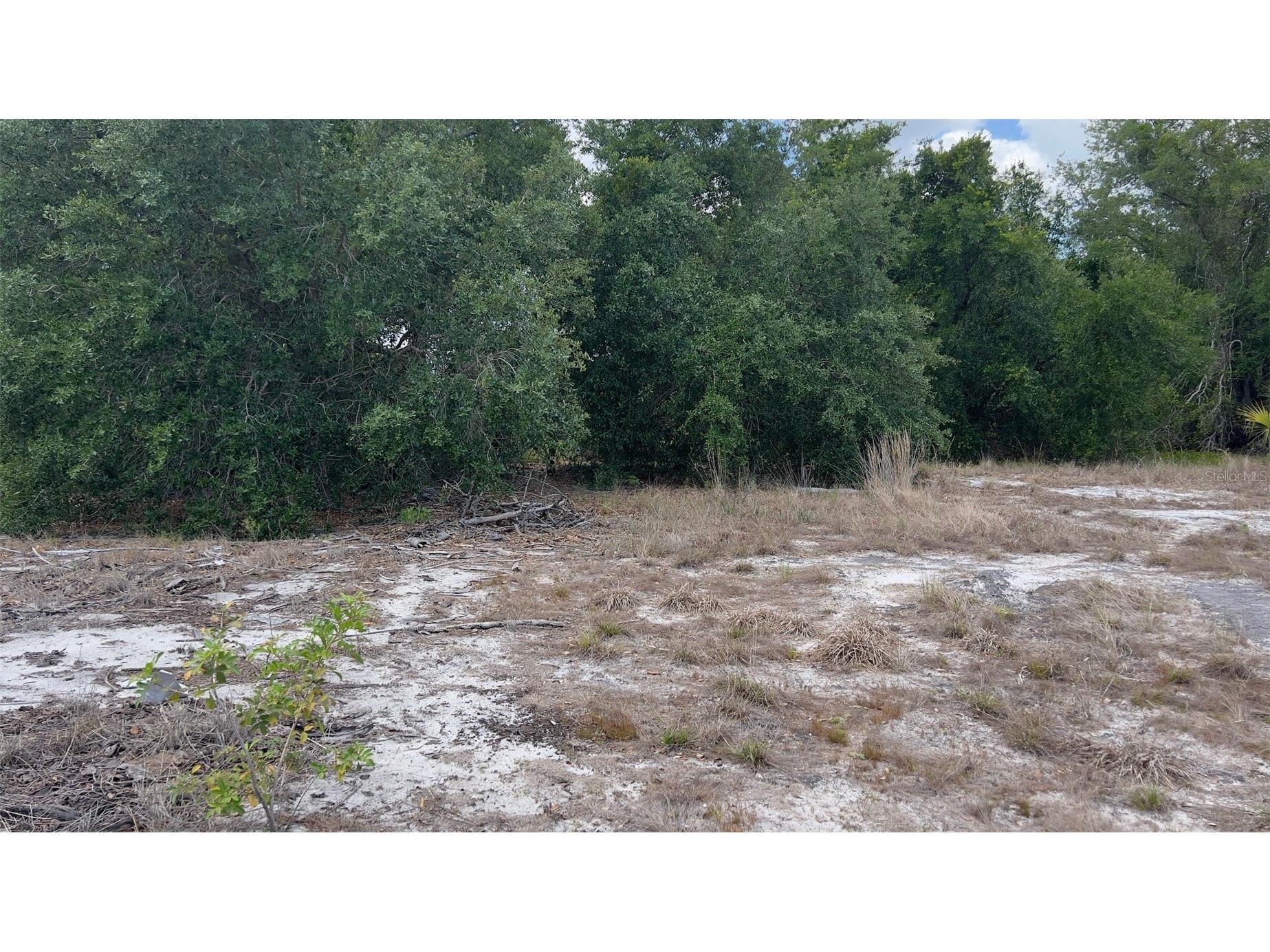 2523 Sulstone Drive Punta Gorda FL 33983 D6147393 image3