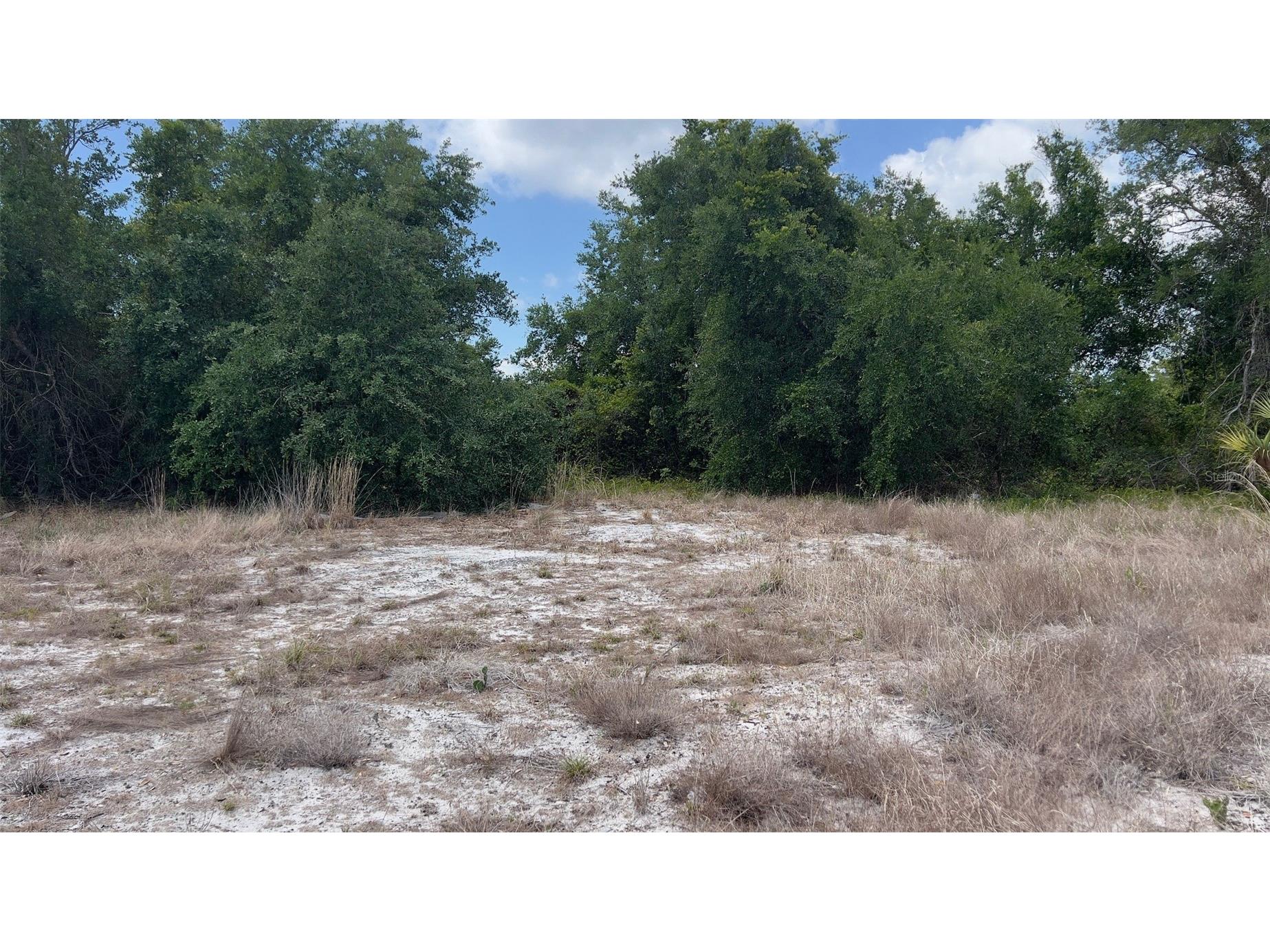 2523 Sulstone Drive Punta Gorda FL 33983 D6147393 image4