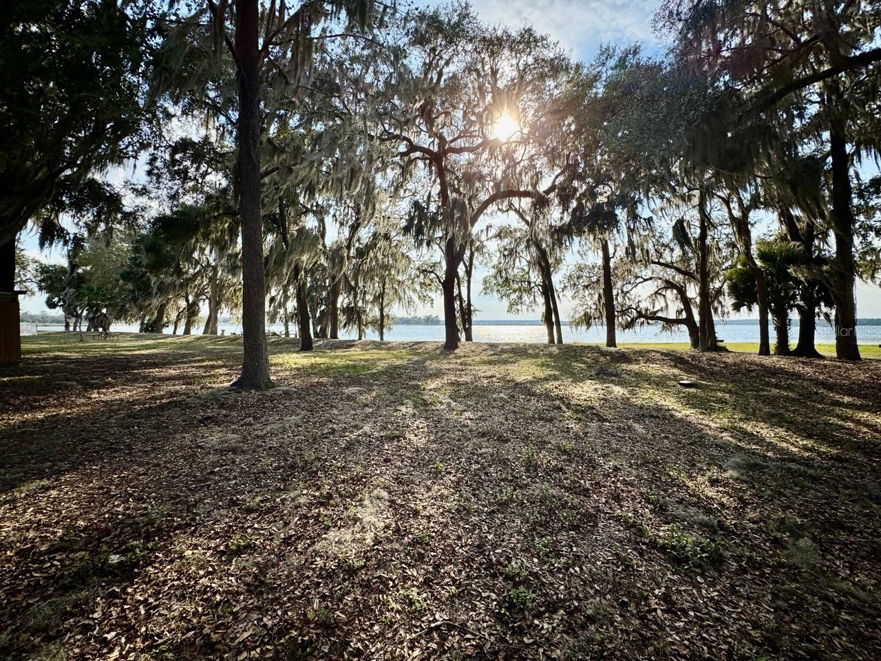 25232 NE 143rd Street #178 Salt Springs FL 32134 - LITTLE LAKE KERR OM725092 image11
