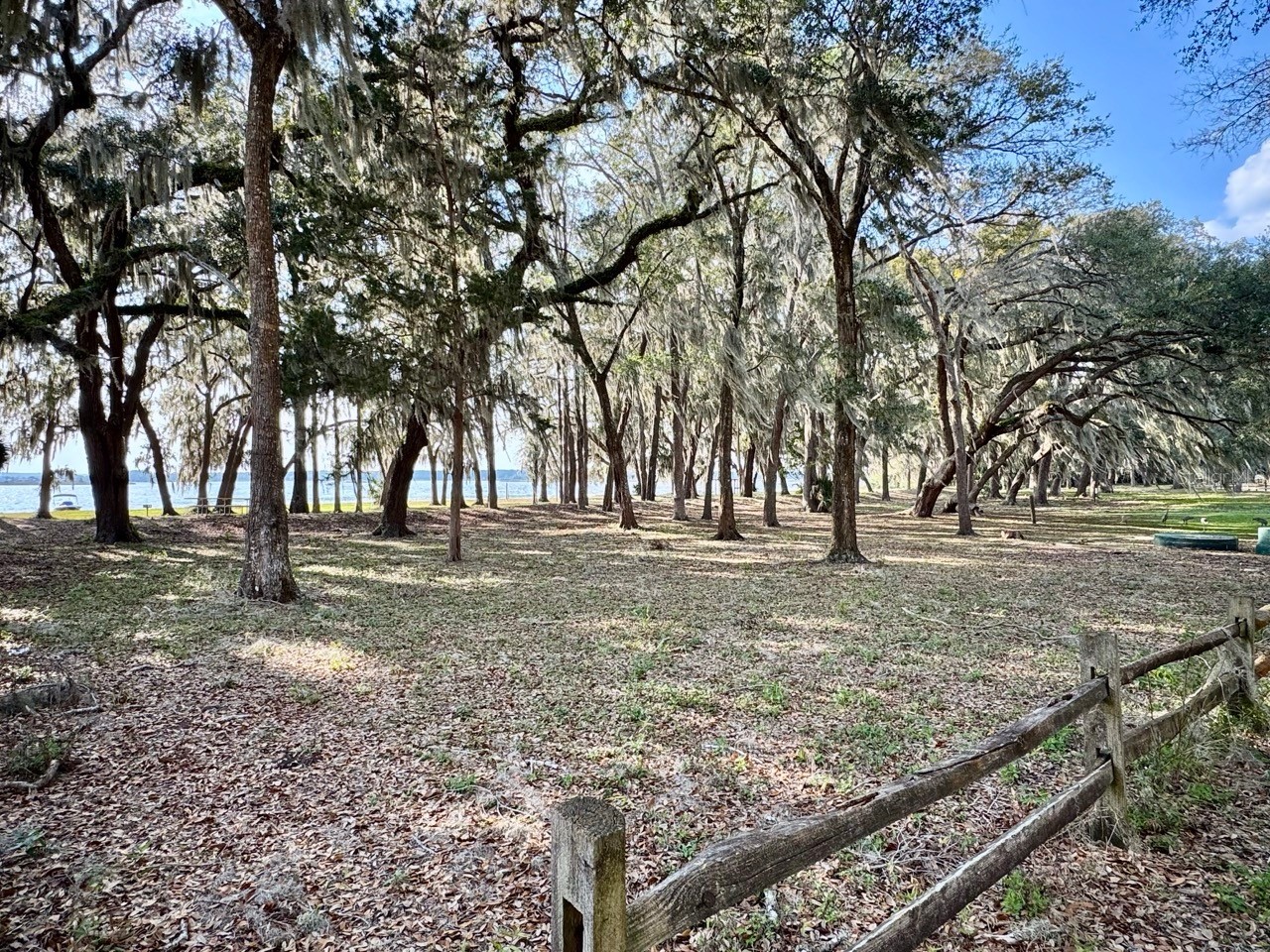25232 NE 143rd Street #178 Salt Springs FL 32134 - LITTLE LAKE KERR OM725092 image12