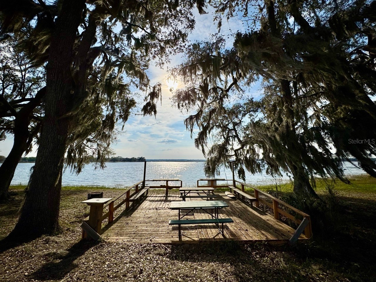 25232 NE 143rd Street #178 Salt Springs FL 32134 - LITTLE LAKE KERR OM725092 image2