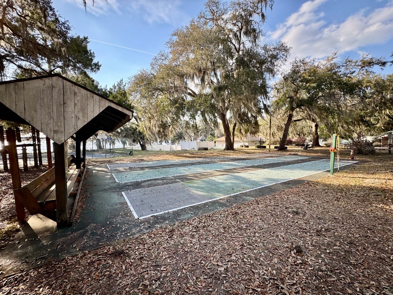 25232 NE 143rd Street #178 Salt Springs FL 32134 - LITTLE LAKE KERR OM725092 image5